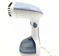 Steam Iron